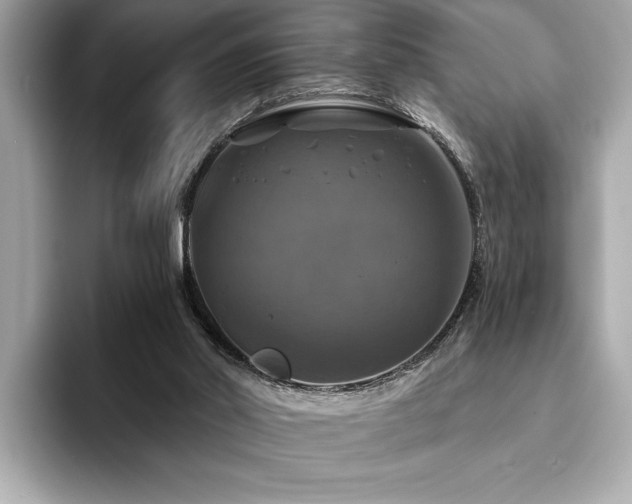 X0000093740014200710161147
