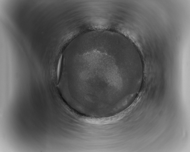 X0000093740017200710161147