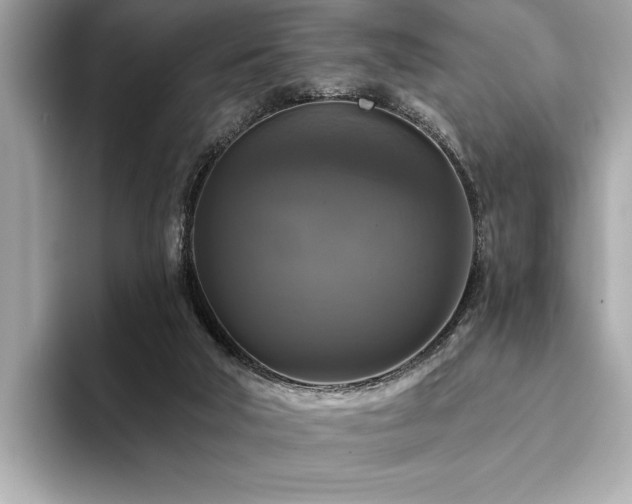 X0000093740018200710161147