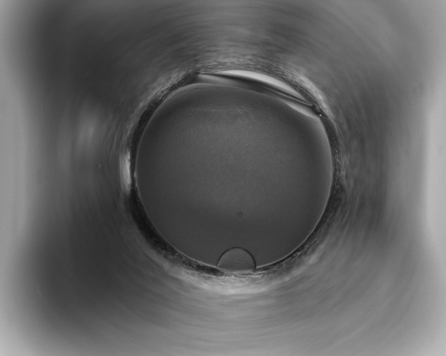 X0000093740020200710161147