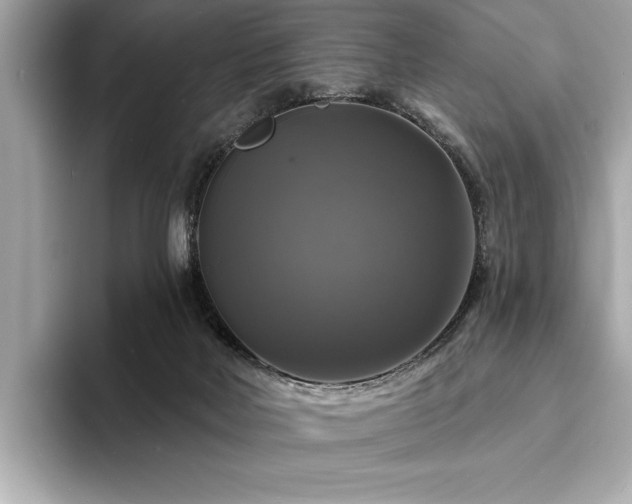 X0000093740026200710161147