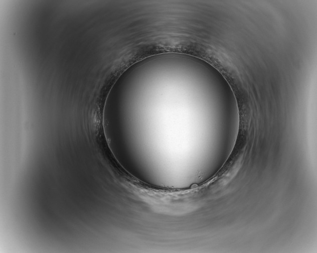 X0000093740040200710161147
