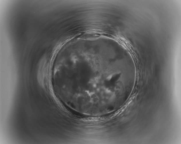 X0000093740049200710161146