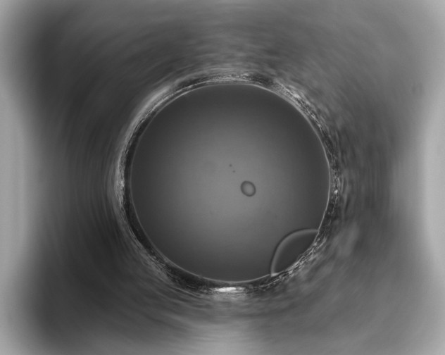 X0000093740053200710161146
