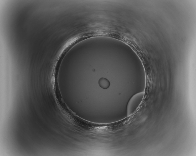 X0000093740054200710161146