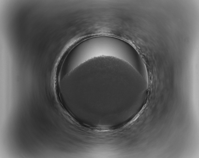 X0000093740056200710161146
