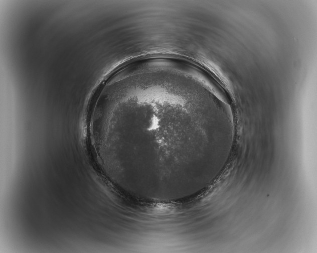 X0000093740060200710161146