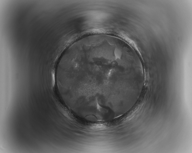 X0000093740061200710161146
