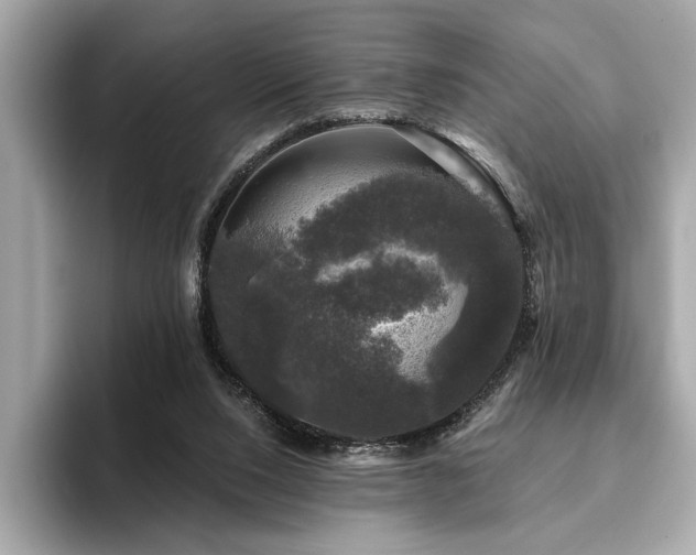 X0000093740064200710161146