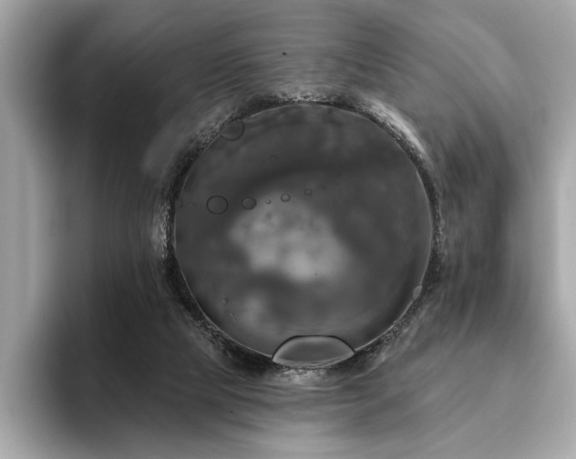 X0000093740065200710161146