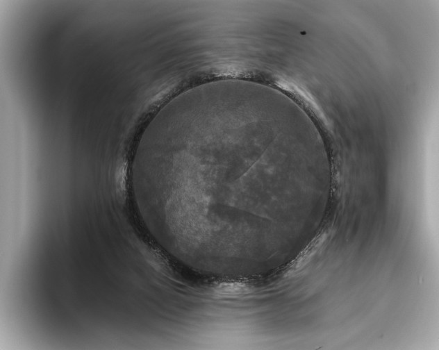 X0000093740066200710161146
