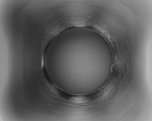 X0000093740069200710161147