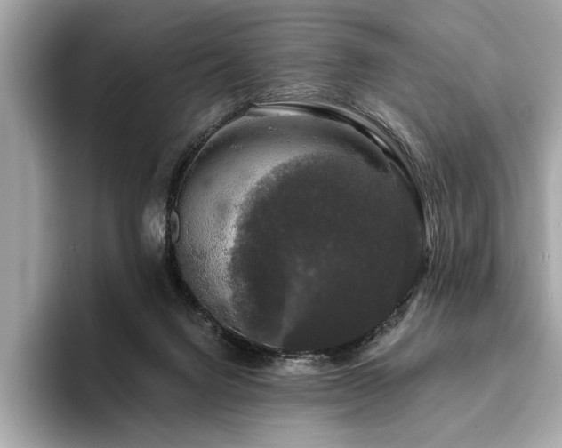 X0000093740072200710161147