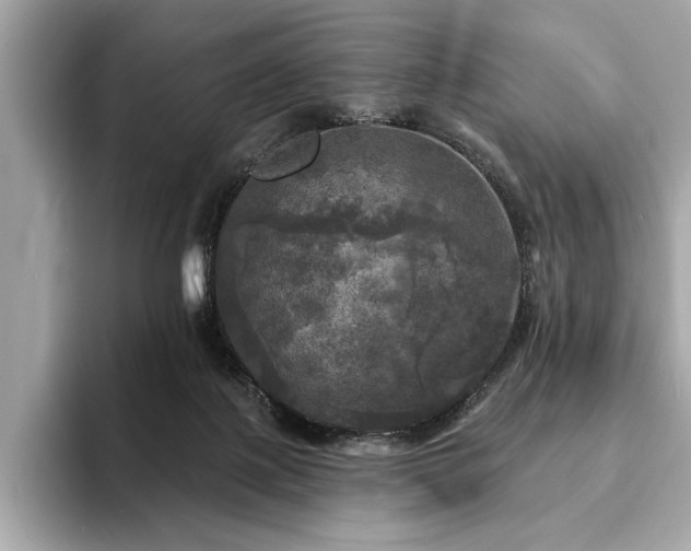X0000093740075200710161147