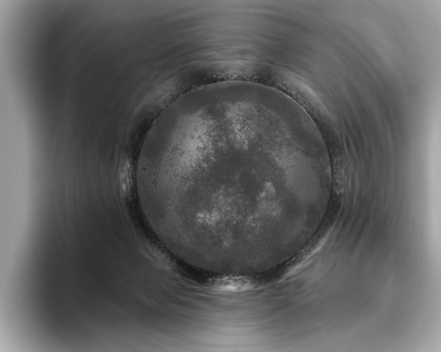 X0000093740077200710161147