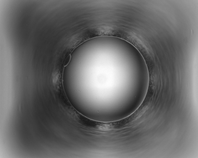 X0000093740079200710161147