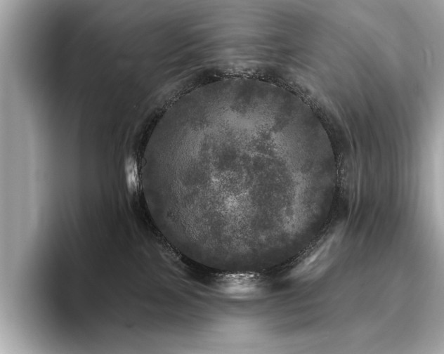 X0000093740089200710161147