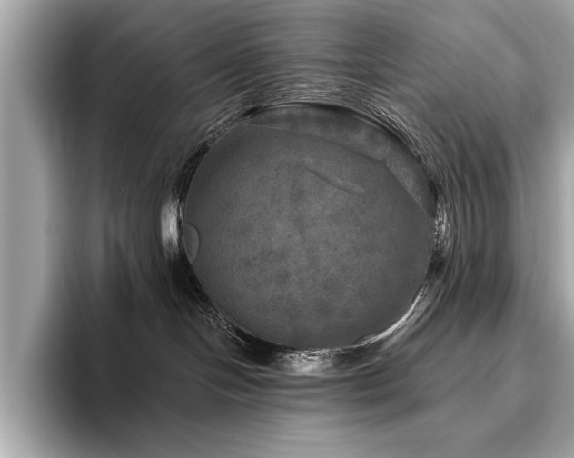 X0000093740094200710161147