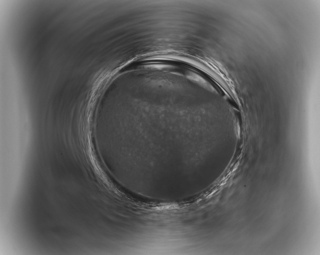 X0000093740097200710161146