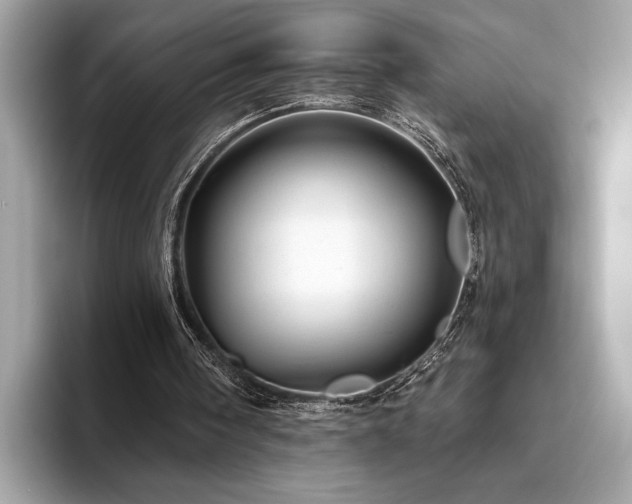 X0000093740098200710161146