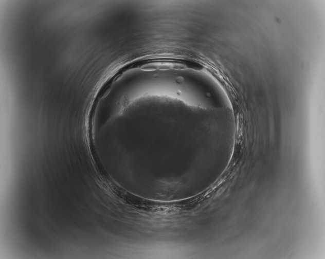 X0000093740099200710161146