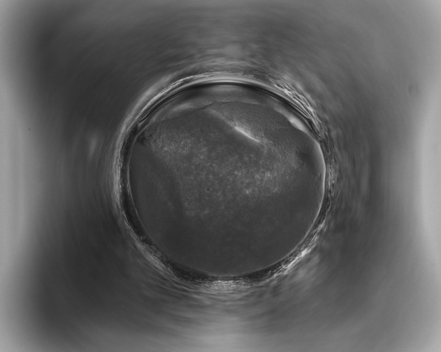 X0000093740101200710161146