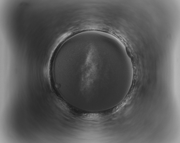 X0000093740104200710161146