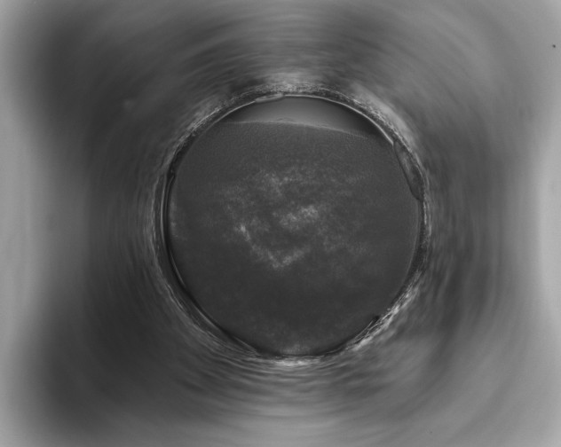 X0000093740105200710161146