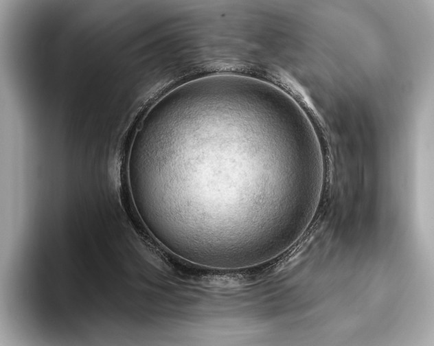 X0000093740106200710161146