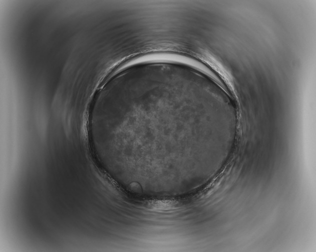 X0000093740107200710161146