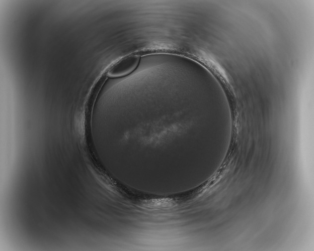 X0000093740108200710161146