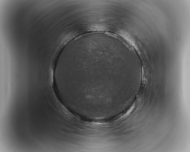 X0000093740109200710161146