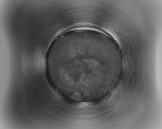 X0000093740111200710161146