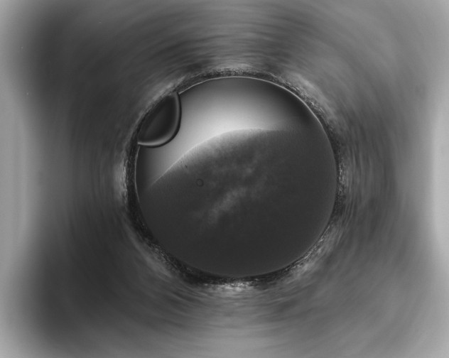 X0000093740112200710161146