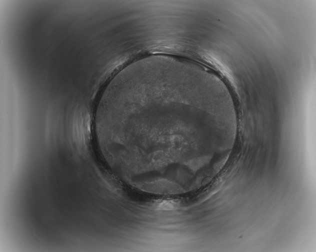 X0000093740115200710161146