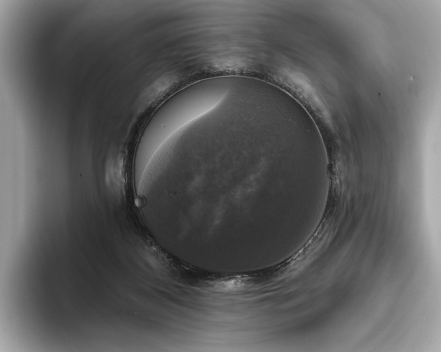 X0000093740116200710161146