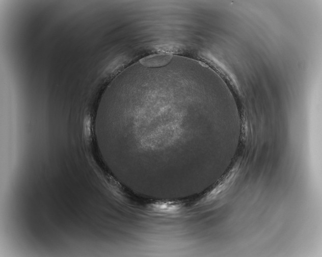 X0000093740117200710161146