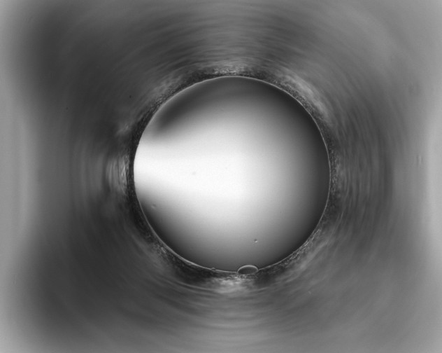 X0000093740118200710161146