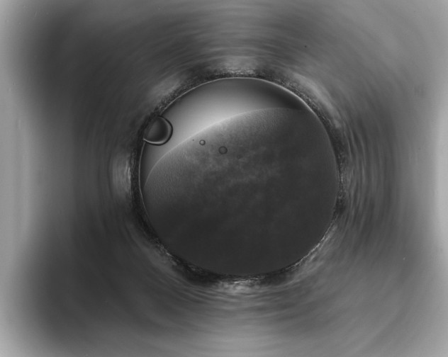 X0000093740120200710161146