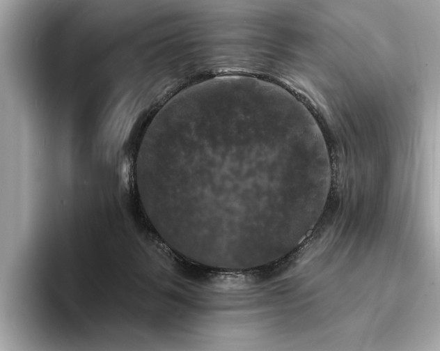 X0000093740123200710161146