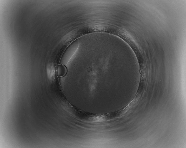 X0000093740124200710161146