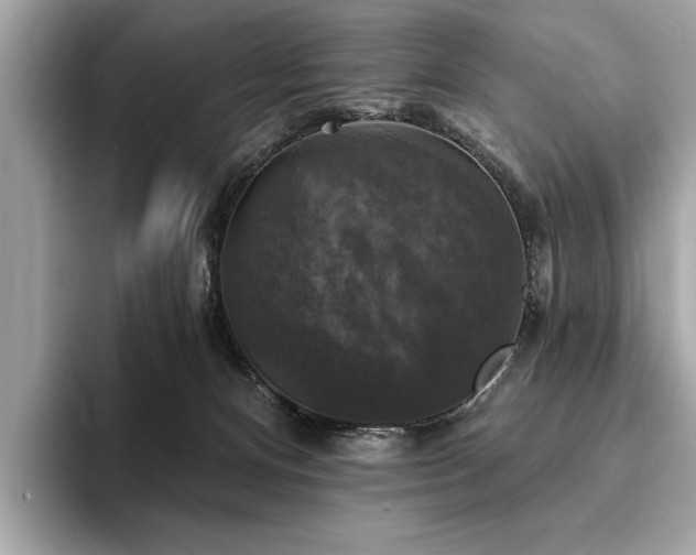 X0000093740128200710161146