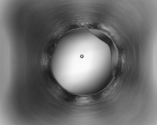 X0000093740129200710161146
