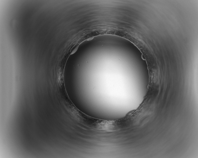 X0000093740138200710161146
