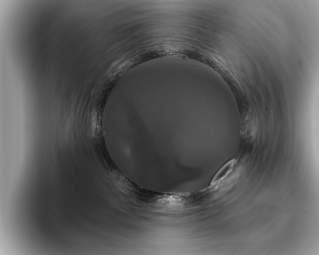 X0000093740140200710161146
