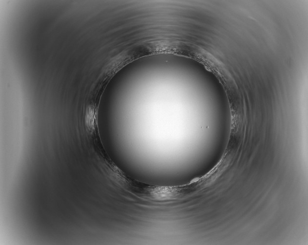 X0000093740142200710161146