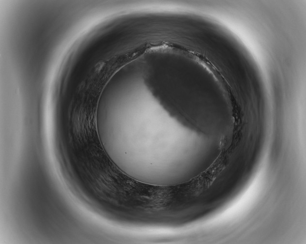 X0000093740143200710161146