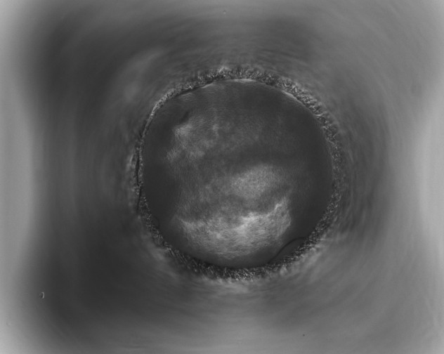X0000093740144200710161146
