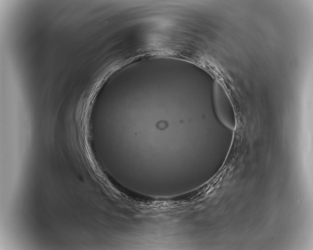 X0000093740145200710161145