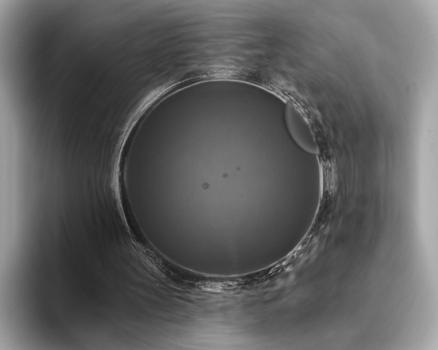 X0000093740147200710161145